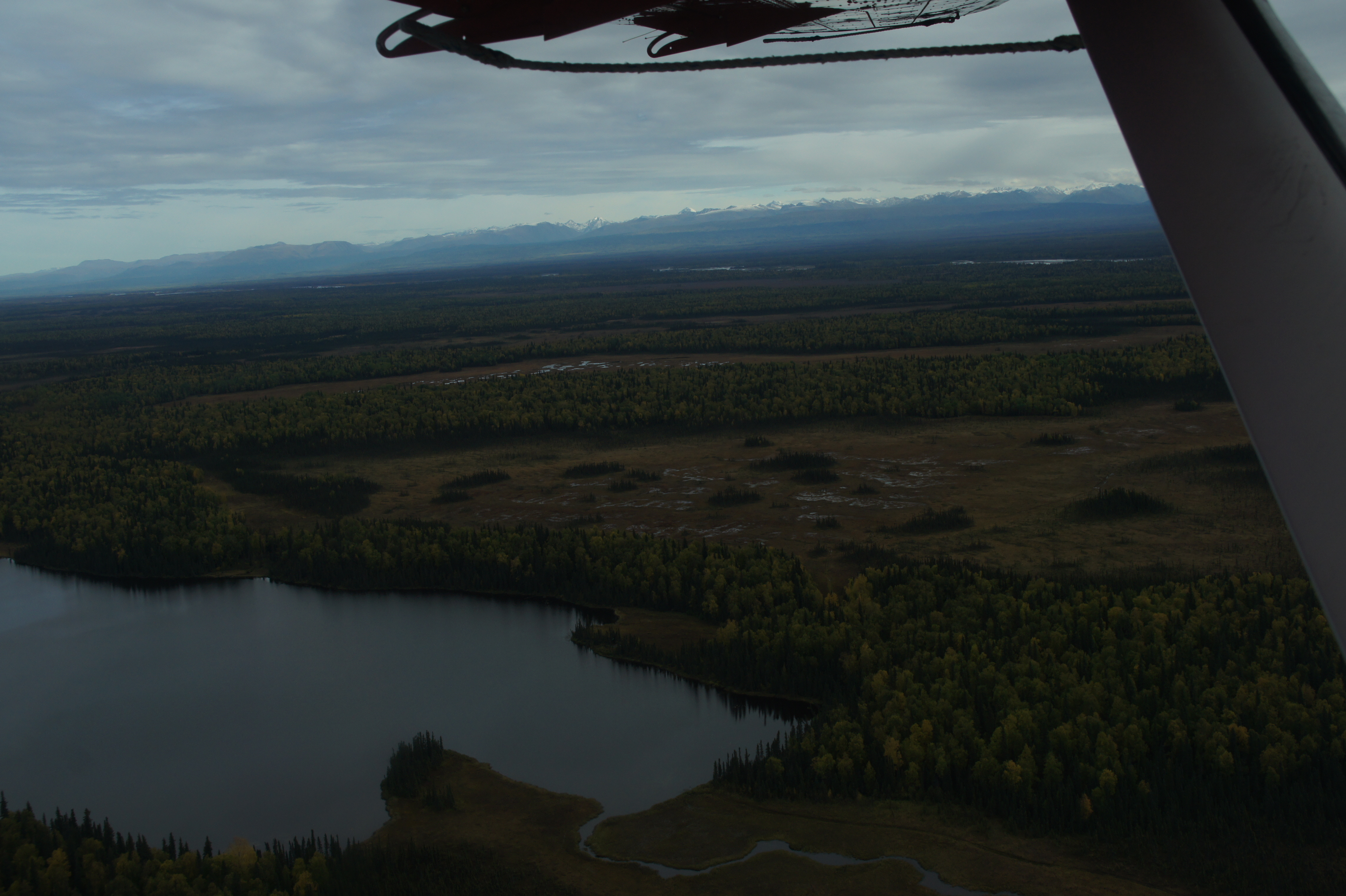 Click to return to the thumbnail index